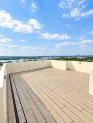skies-miltonia photo thumbnail #11